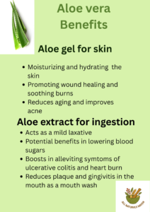 Aloe Vera benefits, summarized infographic