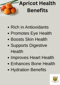 Health benefits of apricot infographic poster
