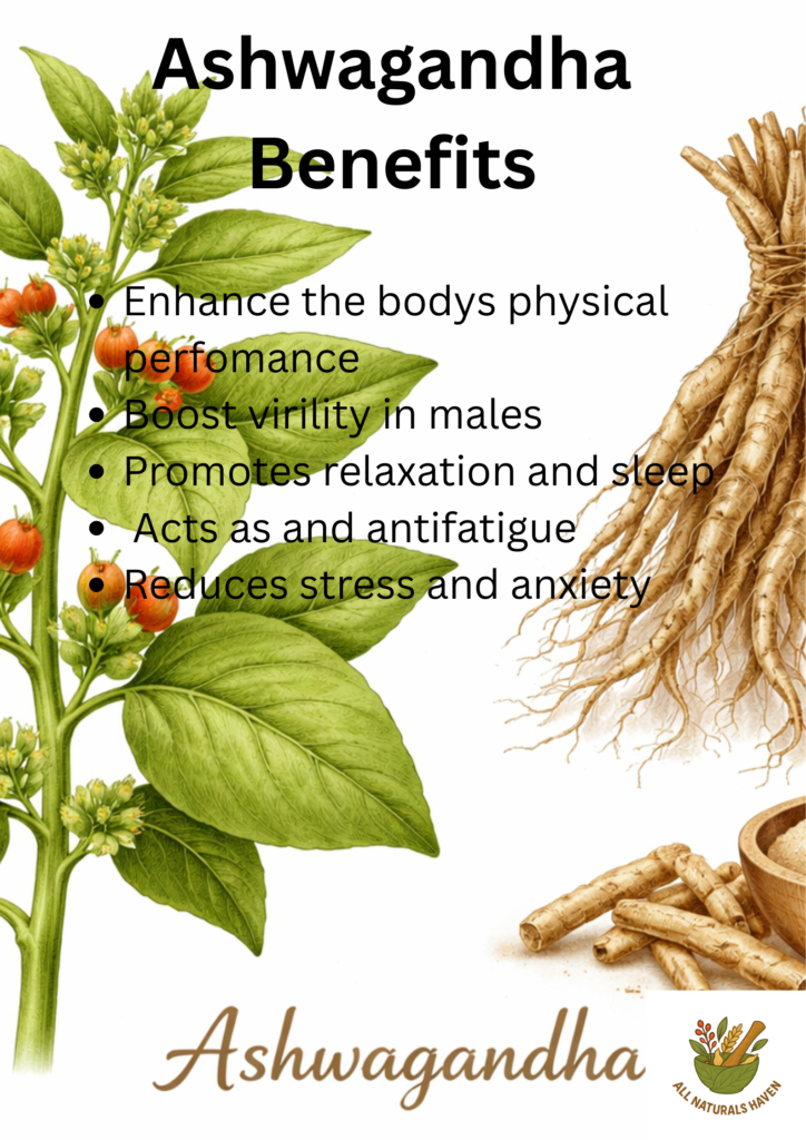 Ashwagandha herb for stress: an infographic