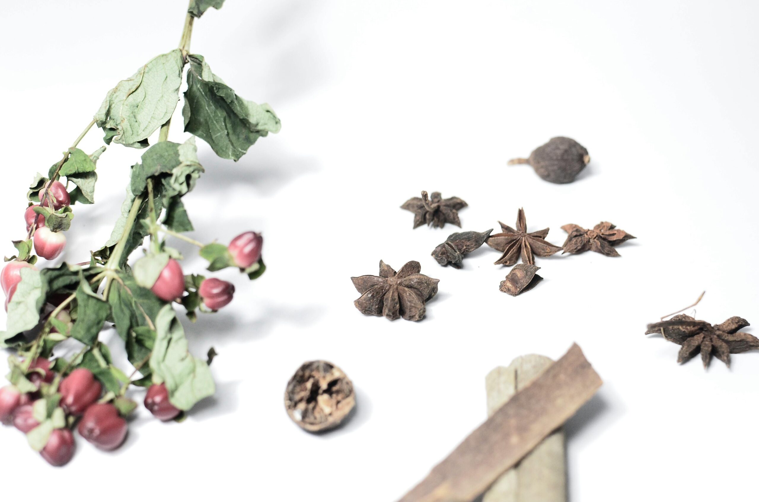 Anise (Pimpinella anisum)Benefits, Uses, Preparations and Cultivation guide