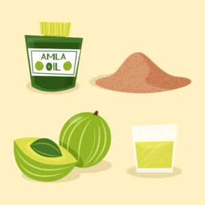 Illustration of Amla products like oils used to boost hair growth