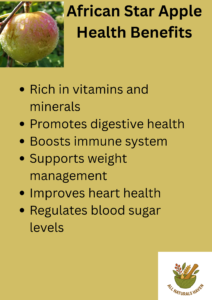 Infographic on the health benefits of African star apple