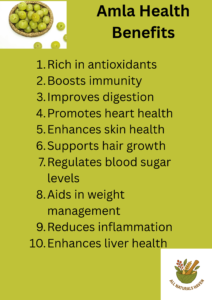 Health benefits and uses of amla informational infographic.