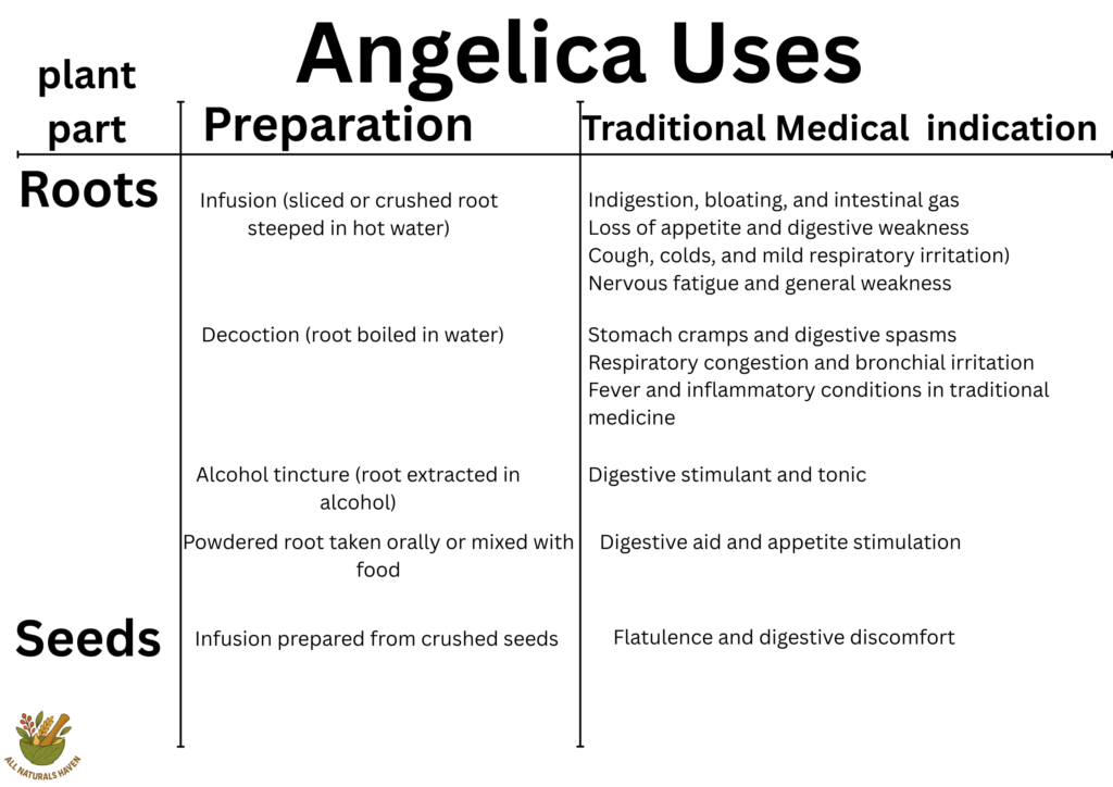 An informational banner on the traditional medical indications of angelica like in flatulence and digestive stimulation