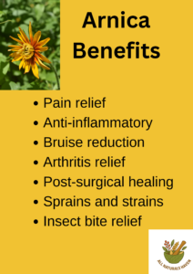 arnica health benefits infographic