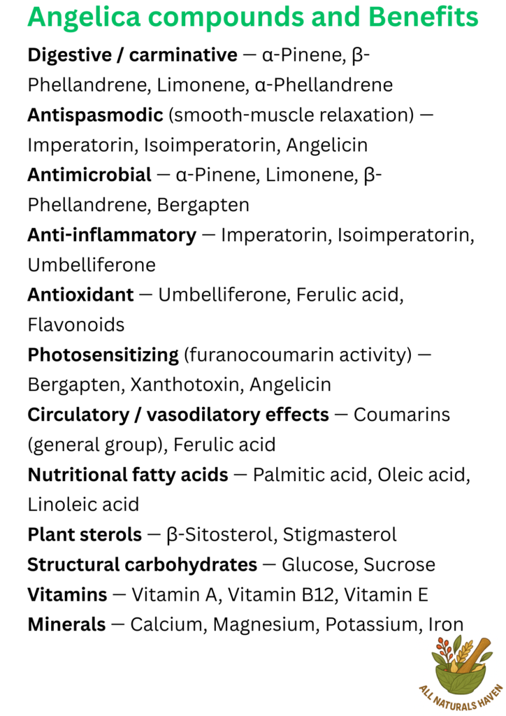 A poster on the compounds found in angelica and their biological uses, e.g., umbelliferone acts as an antioxidant