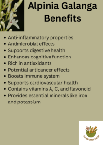 Infographic on benefits of alpinia galanga, such as anti-inflammatory agent