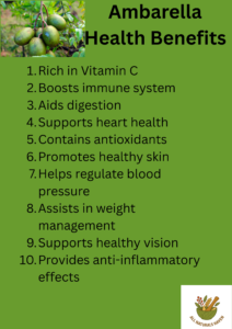 Infographic on the uses and health benefits of Ambarella