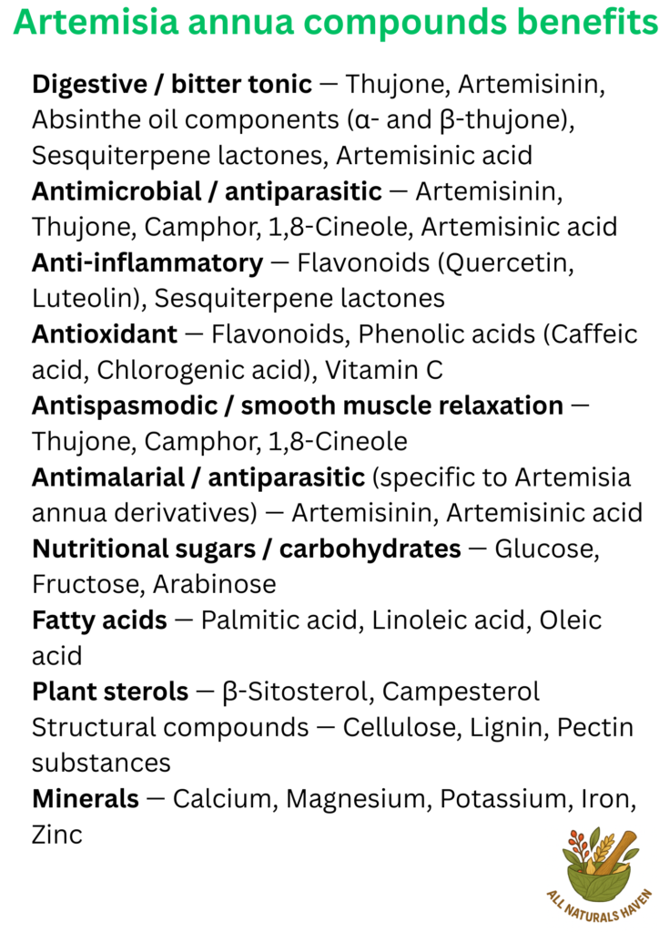 A poster listing the compounds found in artemisia annua and their biological activity, like thujone, has a bitter tonic effect