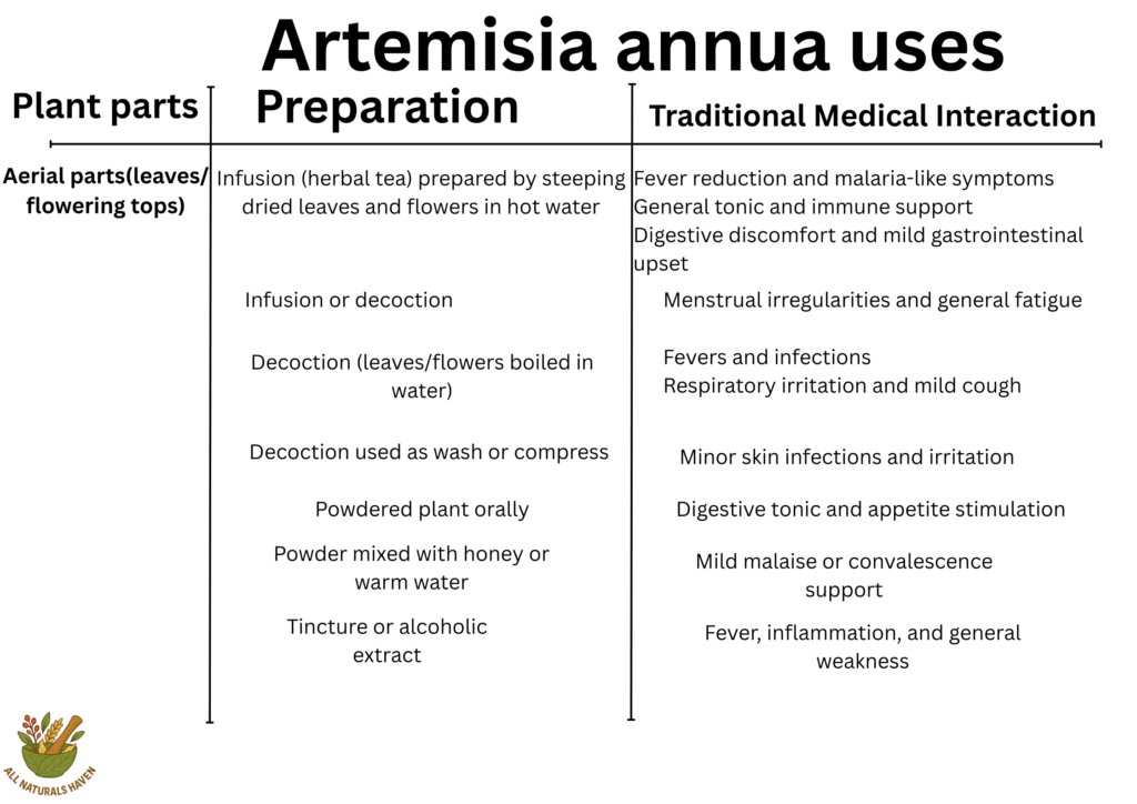 A banner illustrating the traditional medical indications of sweet wormwood, such as in fever reduction and malaria-like symptoms