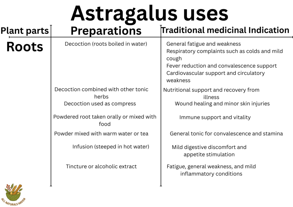 A banner listing the traditional medical indications of milk vetch, like its use in general fatigue and weakness.