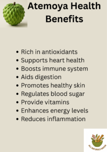 An infographic on the health uses and benefits of Atemoya