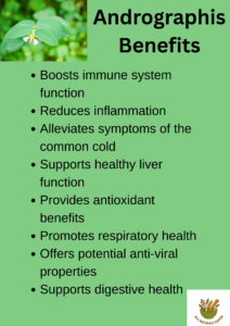 Andrographis benefits informational poster