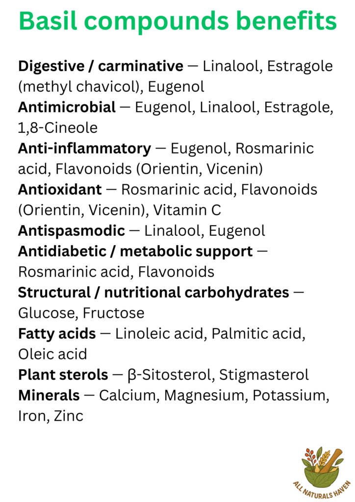 An poster on the uses of various compounds found in basil, e.g., romarinic acid provides metabolic support