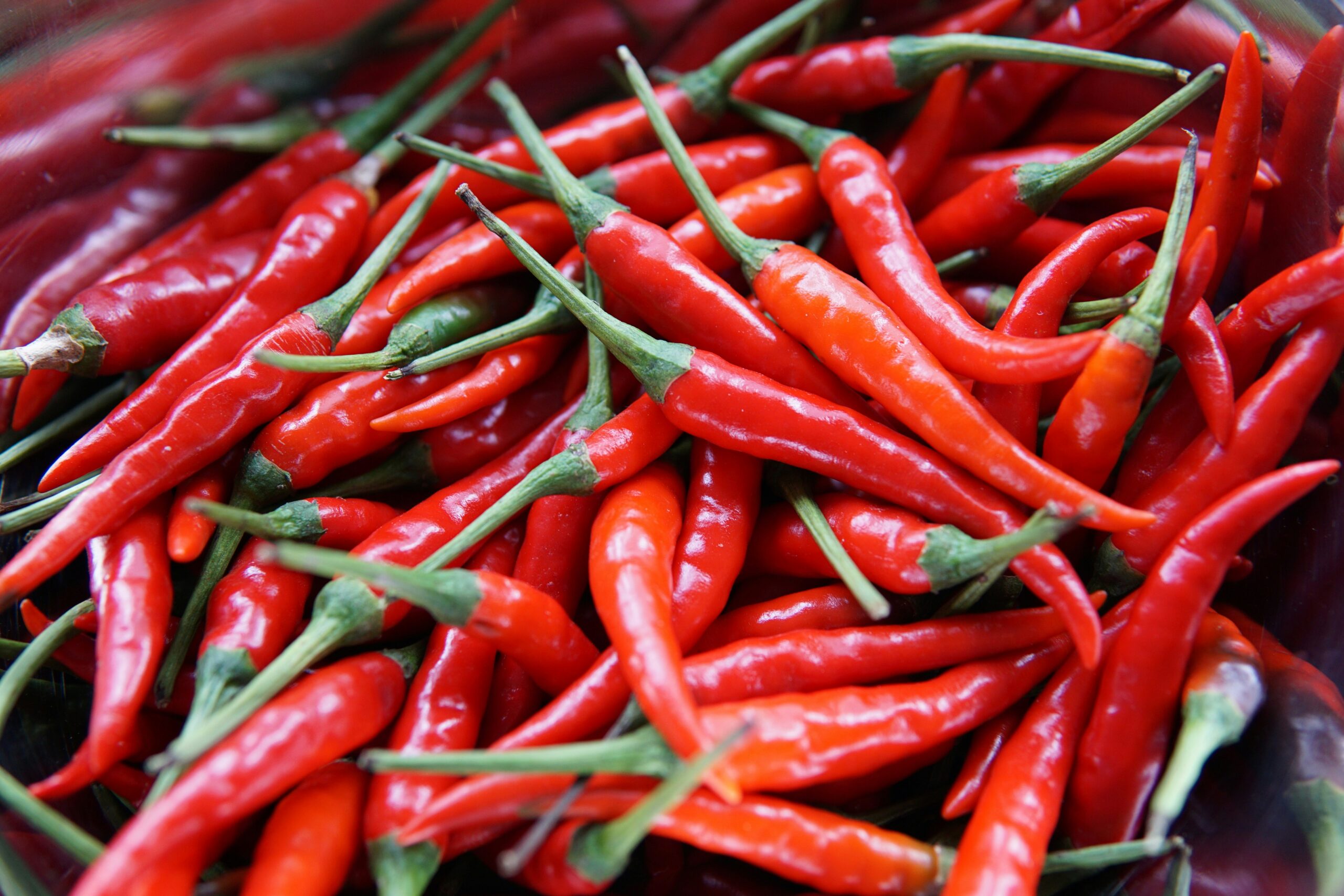 Cayenne pepper (Capsicum annuum/C. frutescens): Benefits, Uses, Safety and Dosage