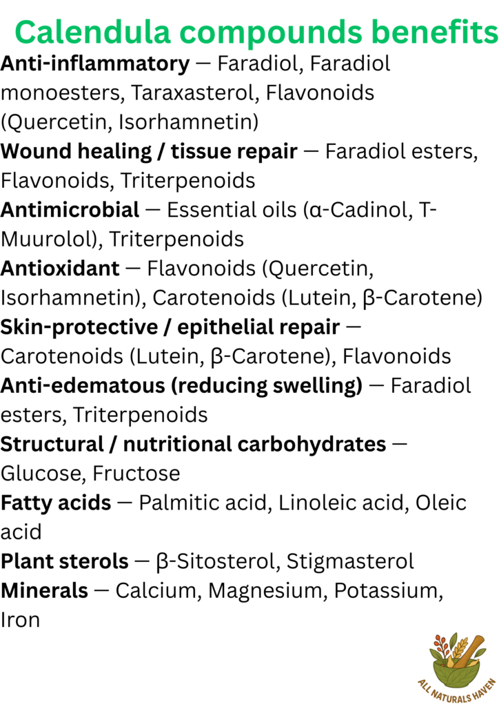 Informational poster on compounds found in calendula and their biological activity, e.g., faradiol has anti-inflammatory effects