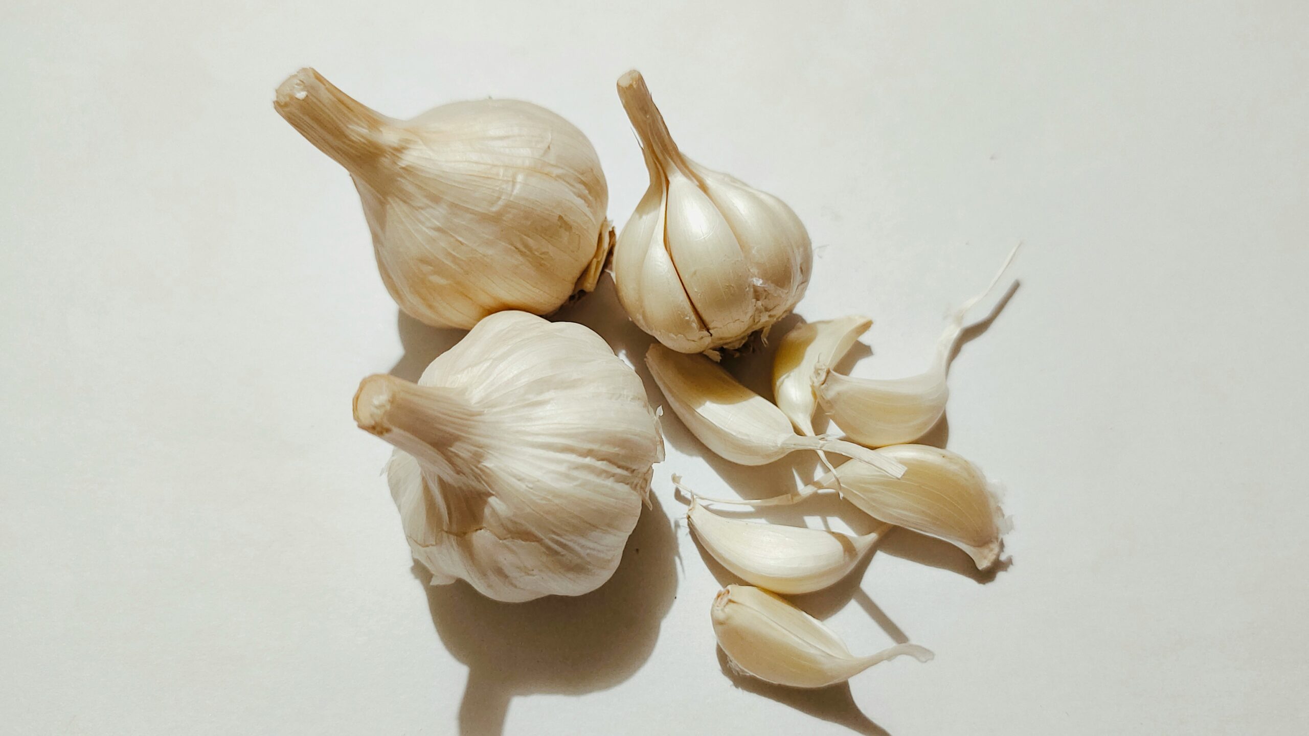 Garlic bulb picture illustration