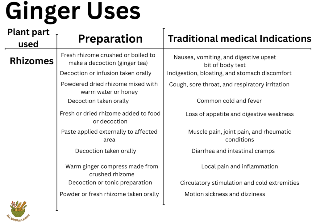 Informational banner on the traditional medical uses of ginger, like chewing for sore throat