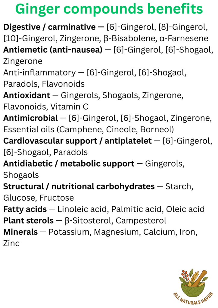 Informational poster on the uses of compounds found in ginger, e.g., 6-gingerol is a carminative
