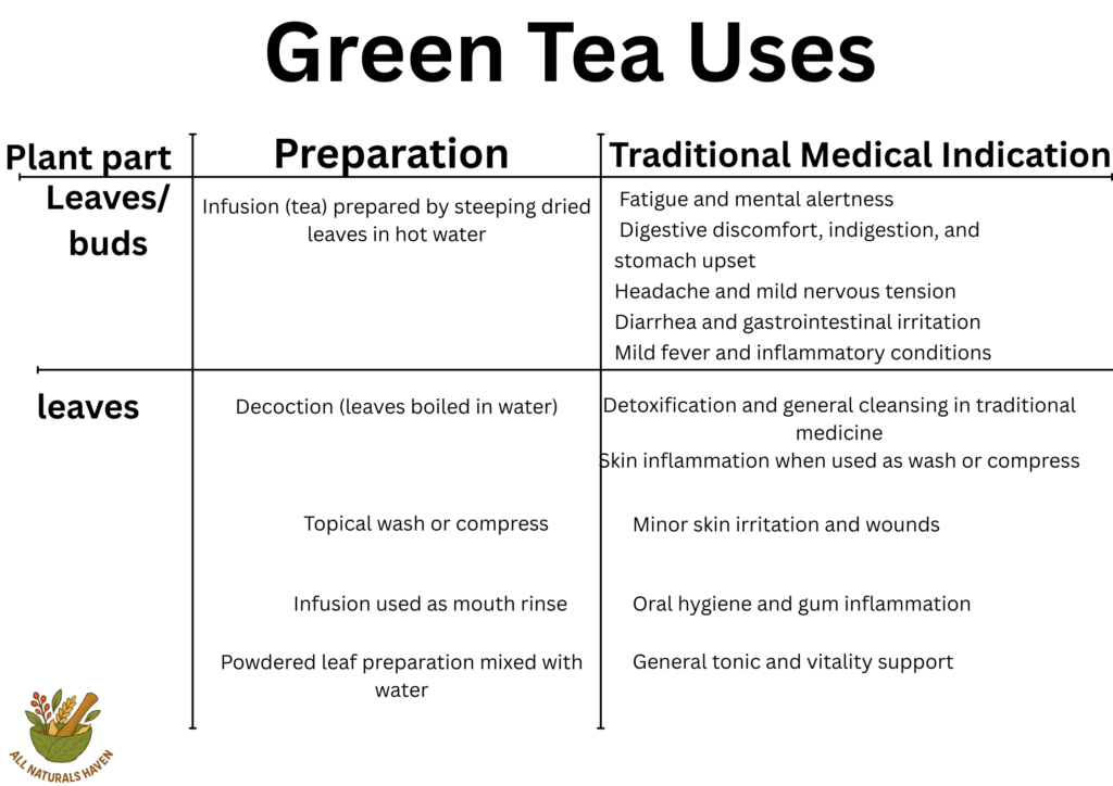 Informational banner on the traditional uses of green tea plant, like in detoxification