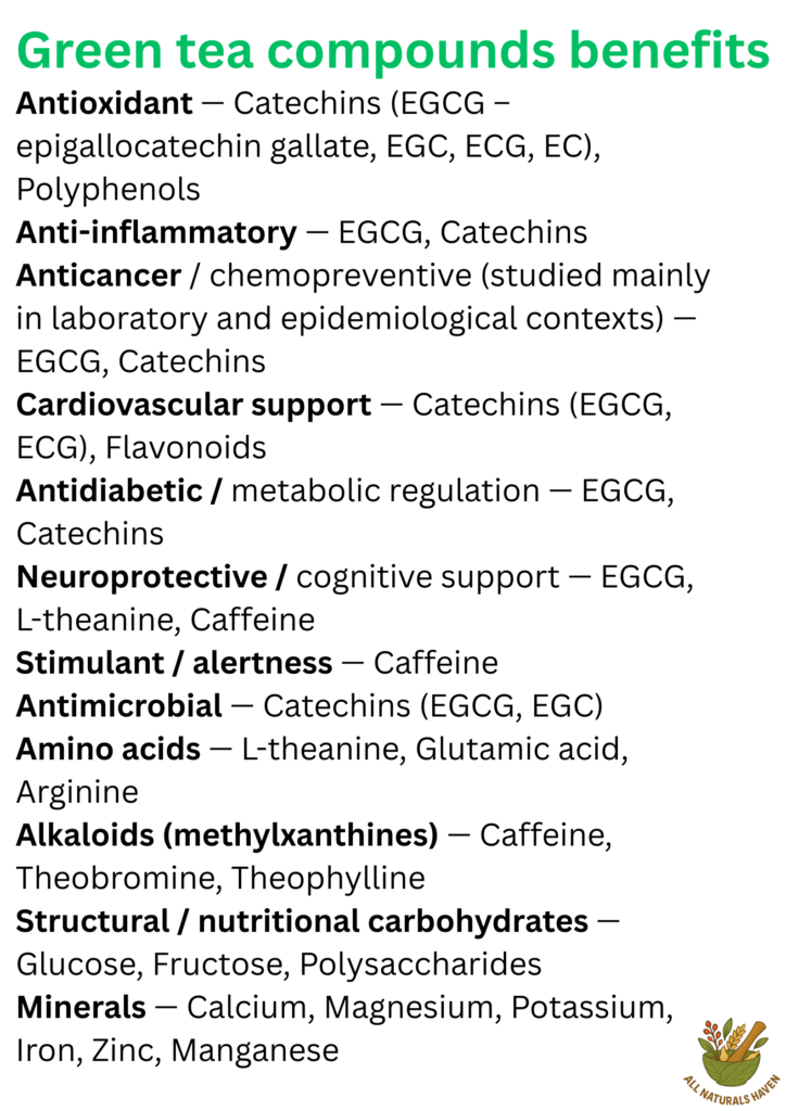 Informational poster on the compounds found in the green tea plant and their biological uses, e.g., EGCG has anti-inflammatory effects.