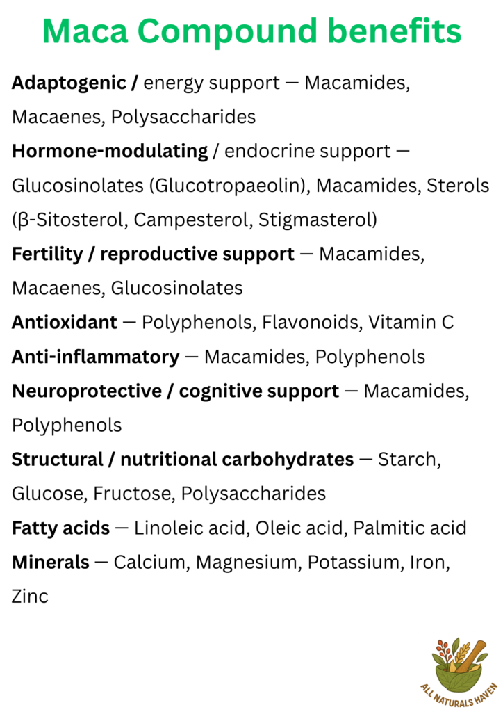 An informational poster on the compounds found in maca herb and their applications, e.g., macamides are adaptogenic