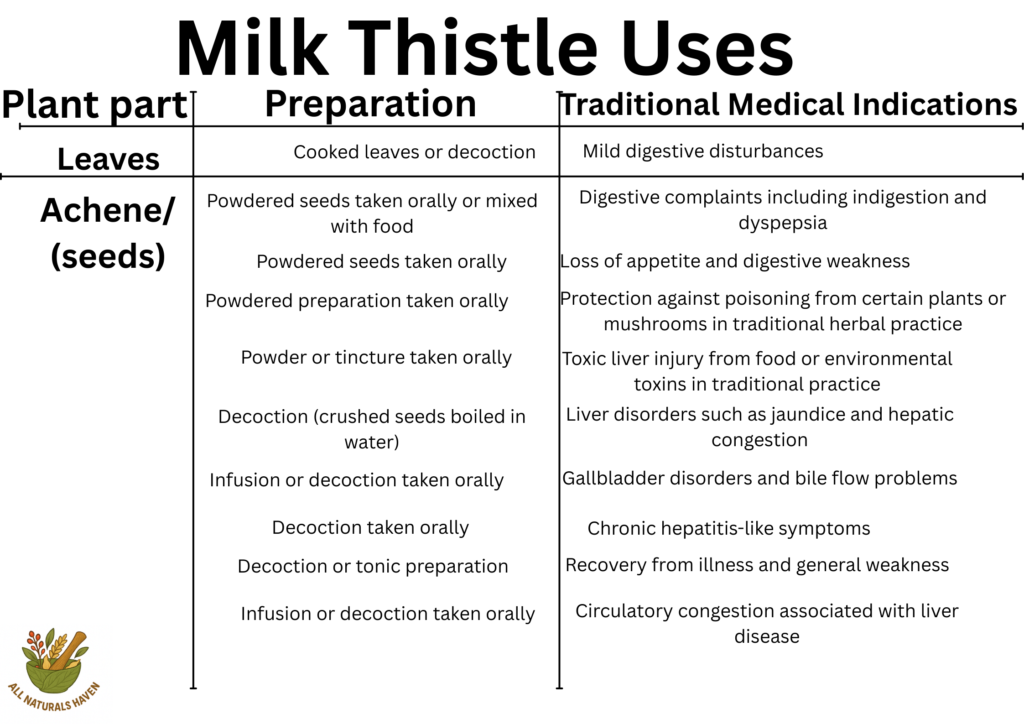 Informational poster on traditional medical uses of milk thistle, like in jaundice