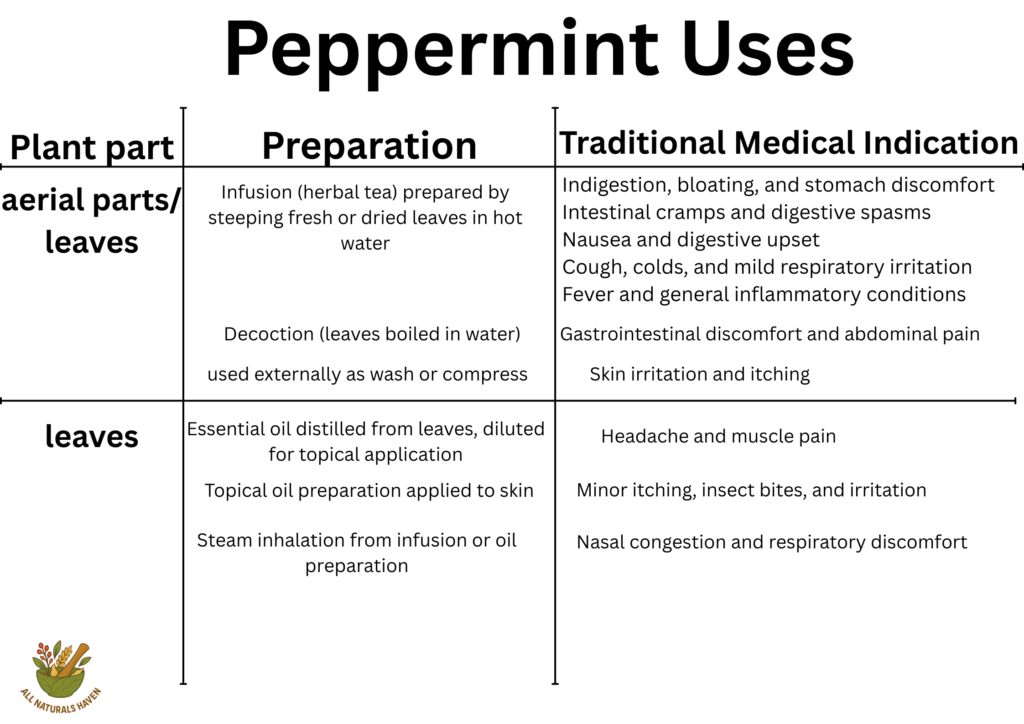 Informational banner on the traditional medical uses of peppermint like in indigestion and bloating