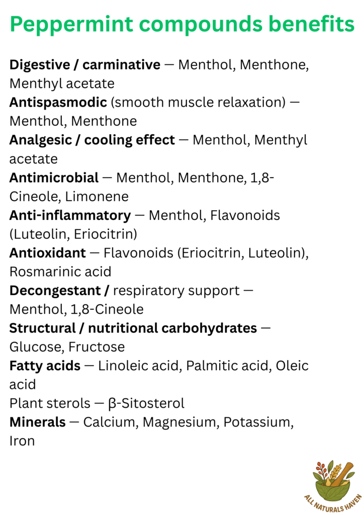 Informational poster on the compounds found in peppermint and their uses, e.g., menthol is a carminative