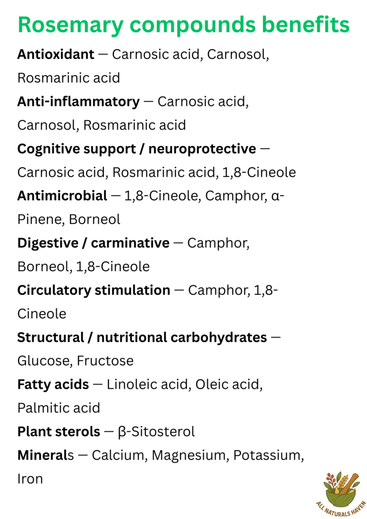 Informational poster on the compounds found within rosemary and their uses, e.g., carnosic acid is an antioxidant