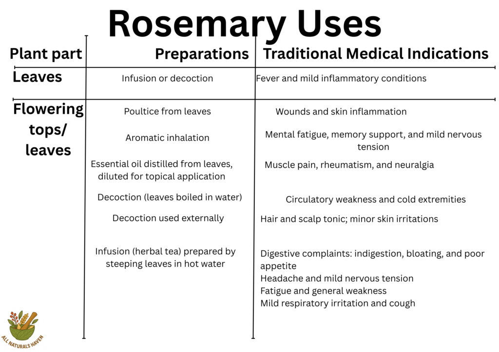 Informational banner on the traditional medical uses of rosemary, like in boosting memory