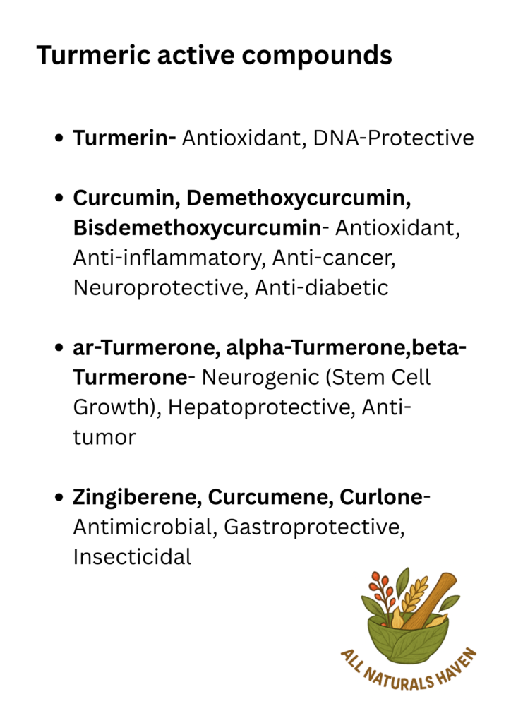 Informational poster on functions of various compounds found within turmeric, e.g., turmerin is an antioxidant