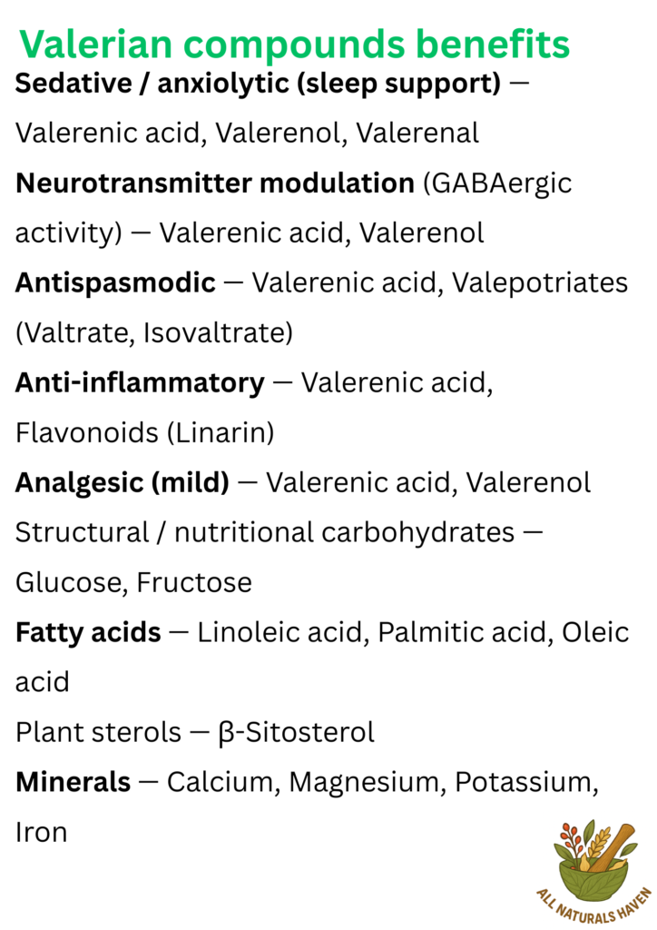 An informational poster on the compounds found in valerian herb, and their uses, e.g., valerenic acid has sedative properties