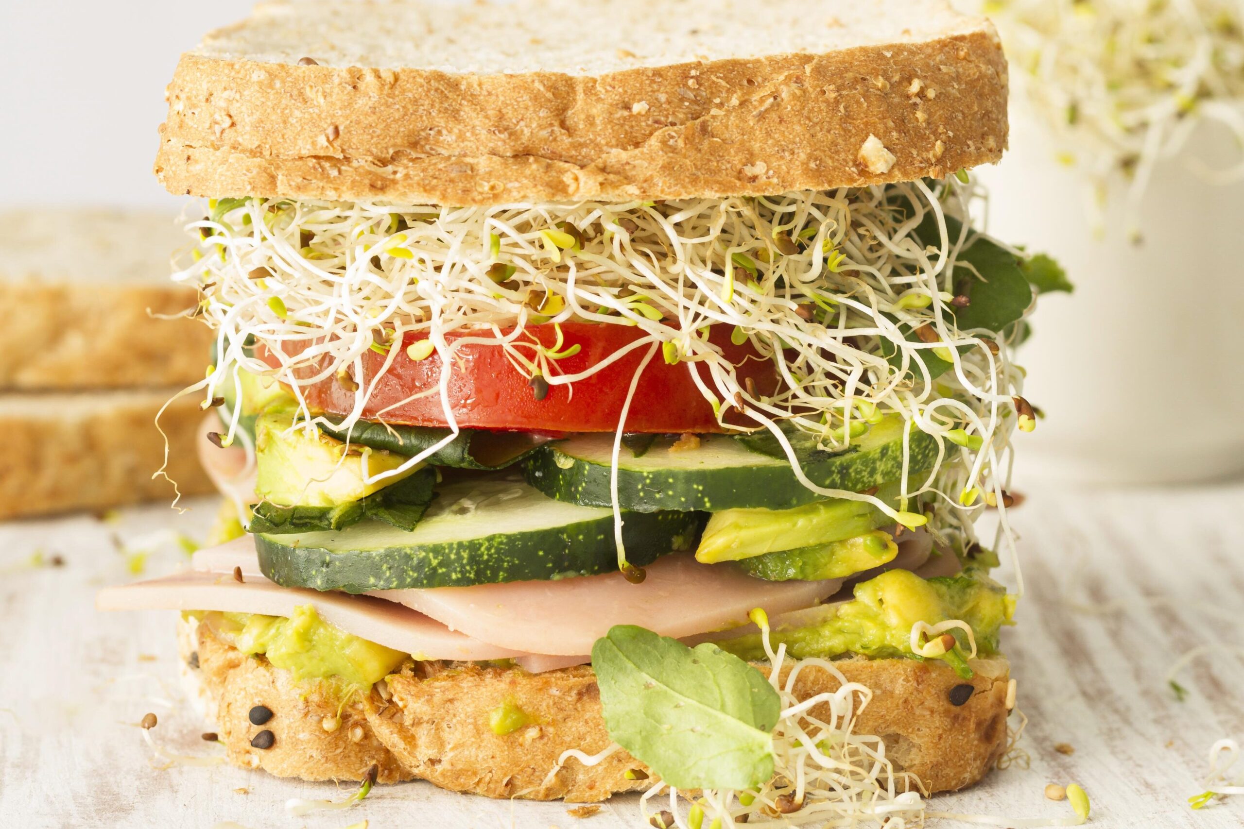 Alfalfa sandwich for nutritional supplement (superfood)