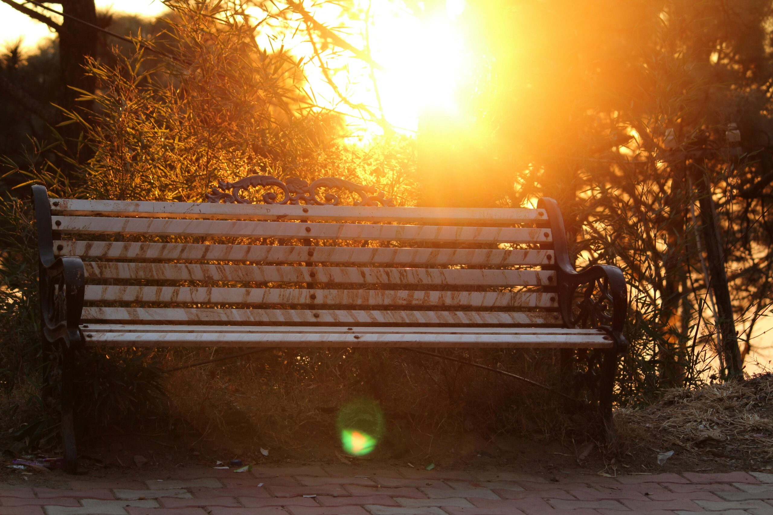 Vitamin D3 (Cholecalciferol): Health Benefits and Biological mechanisms