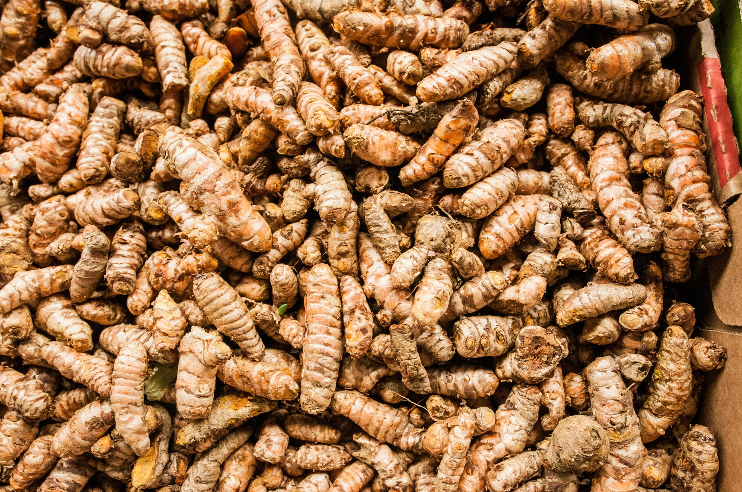 An image of turmeric roots, often used as an anti-inflammatory agent