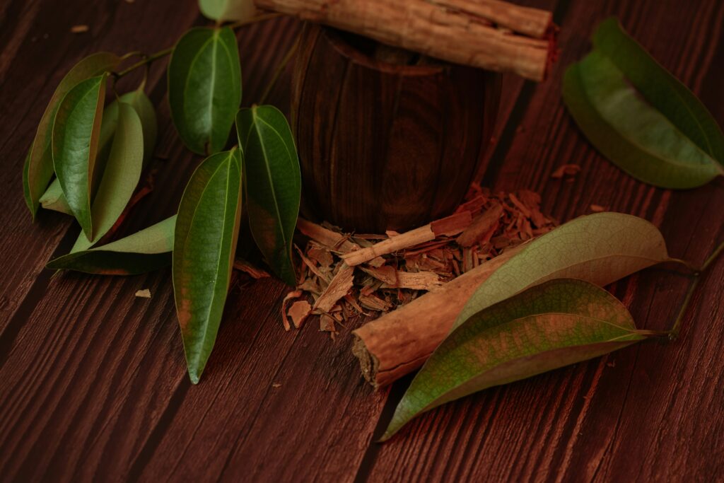 Close-up image of cinnamon leaves and bark