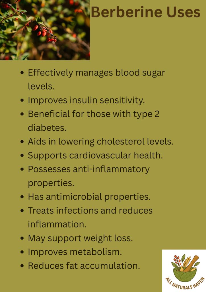 An informational banner showing the uses of berberine